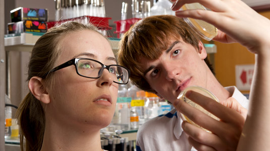 Two student examine petri dishes.